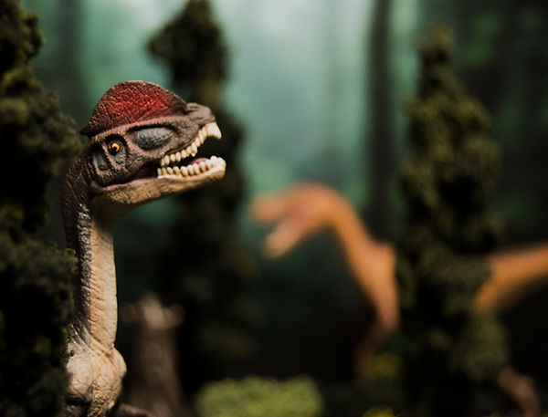Prehistoric 2.jpg