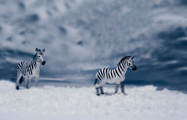 Diorama 6.jpg
