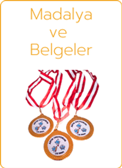 Yeni Yıla Özel Ürünler Kopyası Kopyası.png