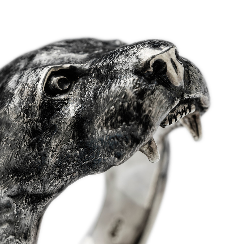 Miniaturbild: Ring Puma