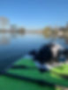 IMG_4536.jpeg