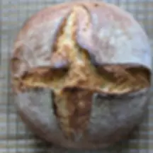 50% Einkorn