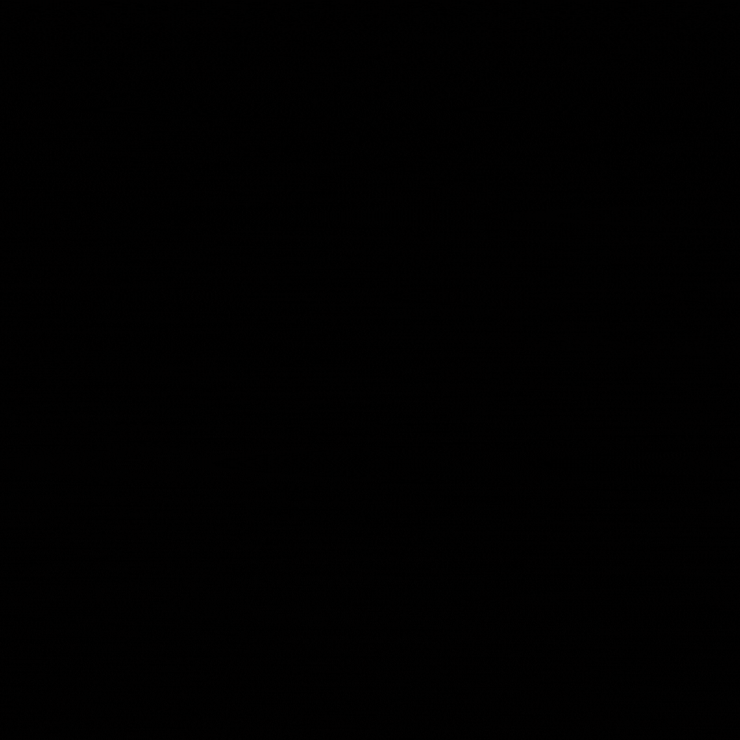 NYVI.gif