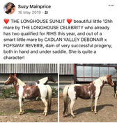 longhouse sunlit.jpg