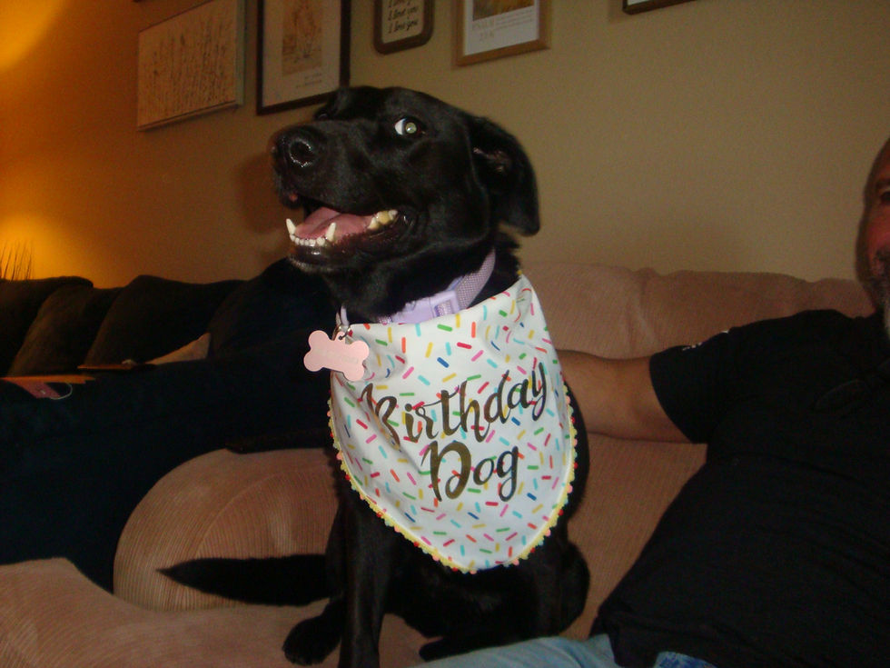 Wrinkles on her 2nd birthday