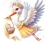 stork.png
