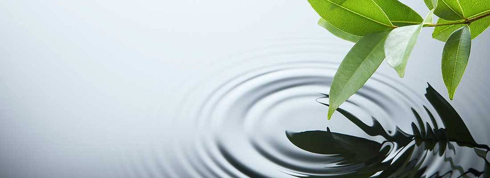 peaceful-water-1480533.jpg