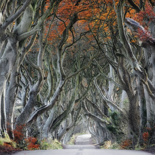 O Invisível Nunca Foi Visível