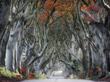 Complete The Cycle - Walking Through the Tunnel of Difficult Feelings