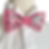 noeud papillon rose fushia poudre blanc liberty