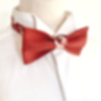 noeud papillon terracotta foncé-mariage- fleurs- champetre-chic