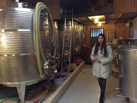 About Peace, chickpeas and Lebanese wine - deel 2