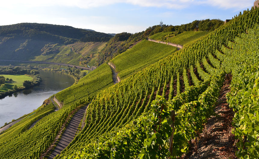 Mosel by Baur au Lacs vins ch