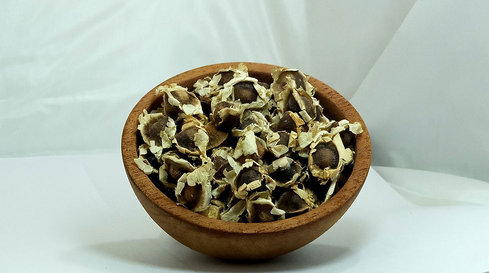 Moringa Seeds