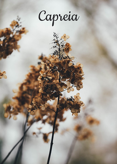 AEnB2UqJGvK5cINxPAGxzpzmDh8WEH_CgYXrG23b