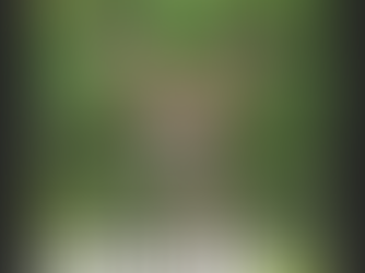 📸 EXPOSITION – LUMIÈRES CÉVENOLES 🌿✨