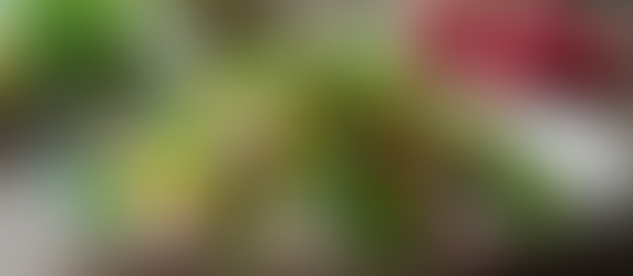 Nourishing Spring Recipes to Energize Your Body and Mind