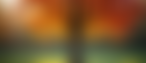 Embracing Change How the Shifting Seasons Mirror Our Life Journeys