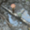 Water leak