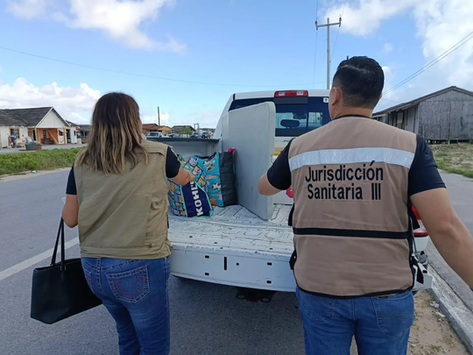 Detectan Influenza Aviar en aves silvestres en playa de Tamaulipas