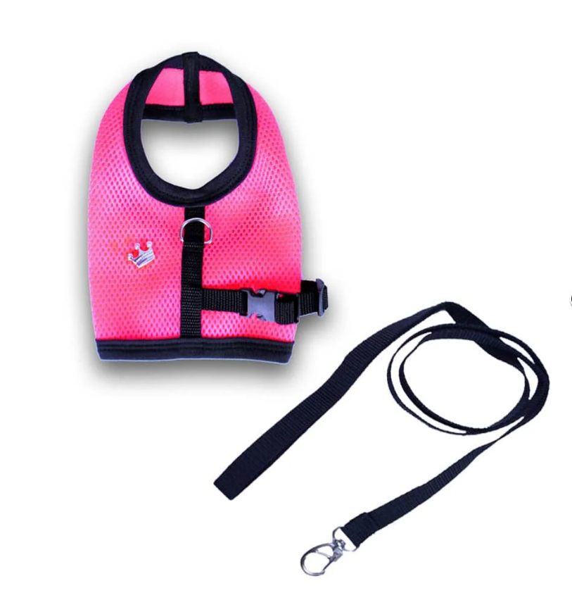 Conjunto Peitoral Ajustável e Guia Prime