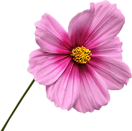 5a01f0ac18e87004f1ca4327.png