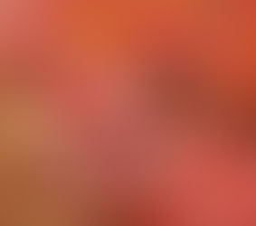 Budget Blooms vs. Premium Pretties: My Favorite Flower Swaps