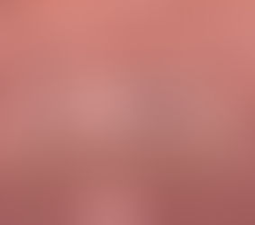 What to Expect in Your Wedding Florals Consultation: A Straightforward Guide