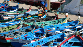 A Doca e os Pescadores em Setúbal!