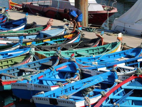 A Doca e os Pescadores em Setúbal!