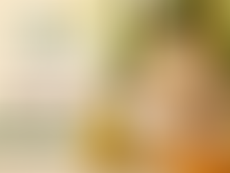 Onam 2026: Shop the Finest Kerala Sarees for the Festive Season