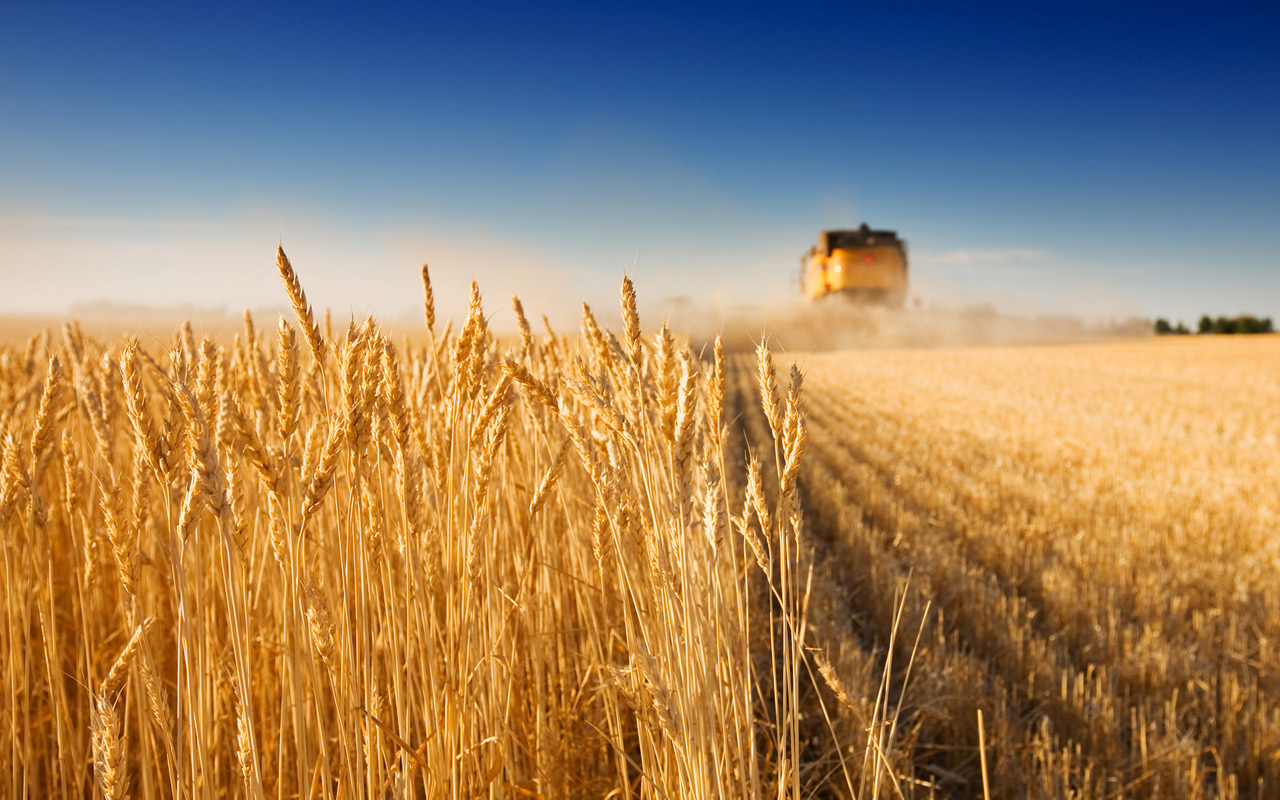 Landwirschaft in Ungarn