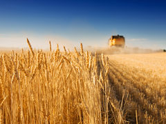 Russia-Ukraine Grain Talks Show Promise; Further Meetings Scheduled