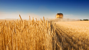 Crédito Rural Encolhe: Quais as soluções para os produtores rurais?