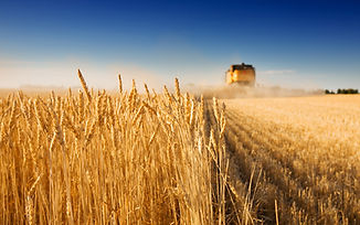 Harvest