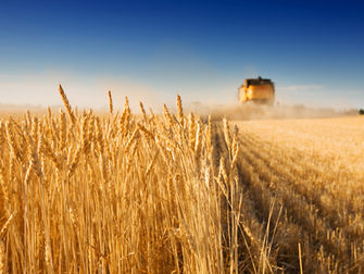 Выпуск № 3 (7) журнала "Управление рисками в АПК" вышел в свет