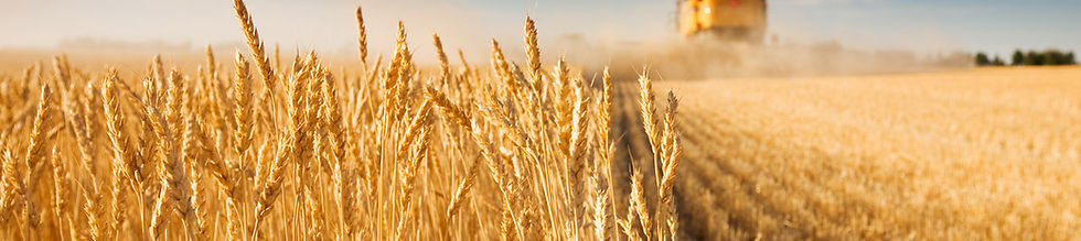 Harvest