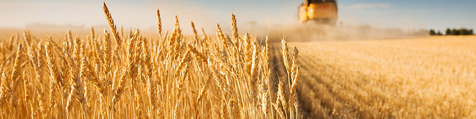 takeaway derry order online