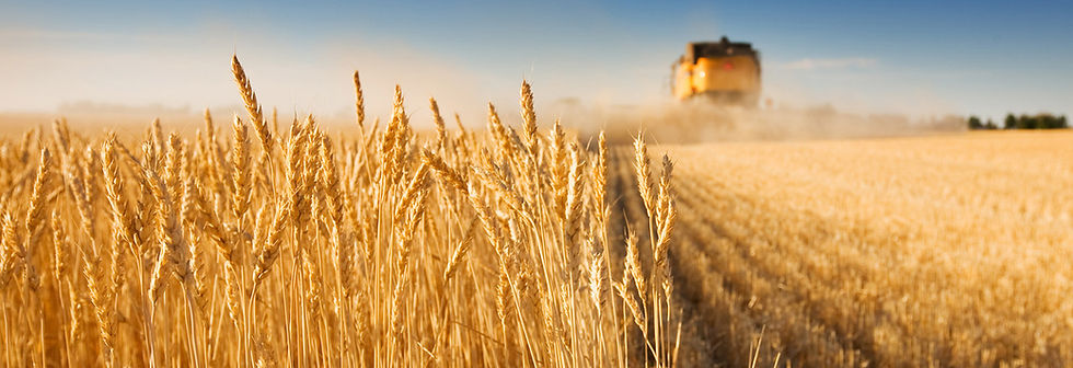 Cobertura de commodities materias primas cobertura de riesgo financiero