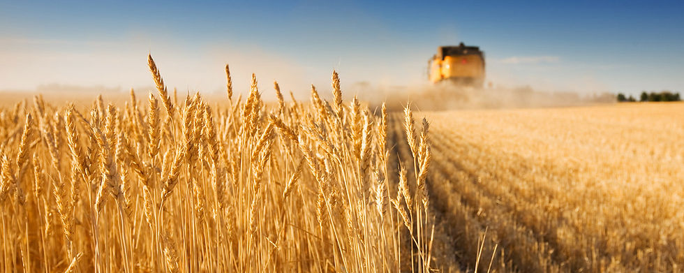 Harvest