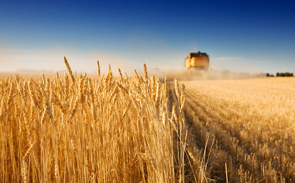 Harvest