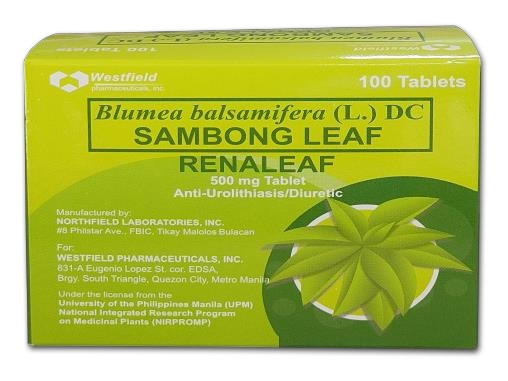 Sambong Leaf (Blumea balsamifera)