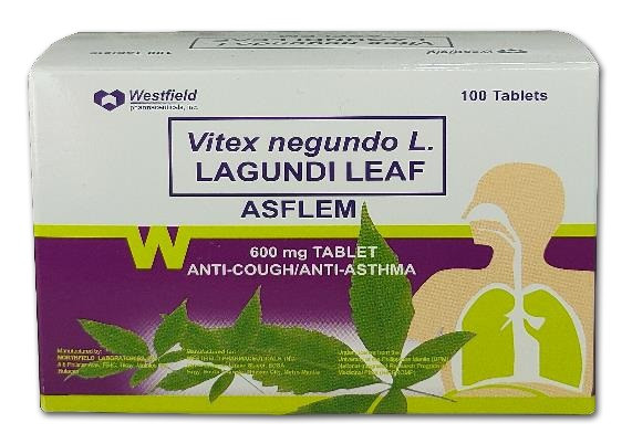 Lagundi leaf (Vitex negundo)