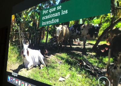 WhatsApp Image 2021-11-22 at 6.43.23 AM.jpeg