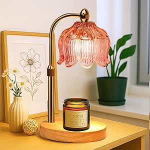 Candle warmer lamp