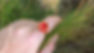 Bague rose en porcelaine rouge et or fait main bijou 6