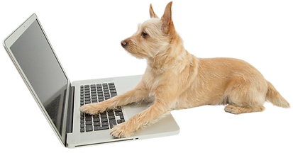 Stock dogs (18).png