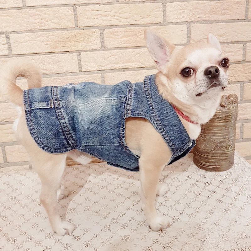Thumbnail: XS-2XL Denim Dog Clothes Cowboy Pet Dog Coat Puppy Clothing for Small Dogs Jeans