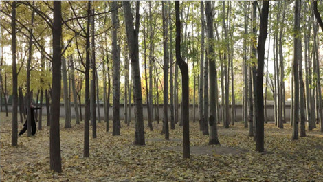 IFP Exhibiton | Goeun Bae “Of Whom The World is Not Worthy”