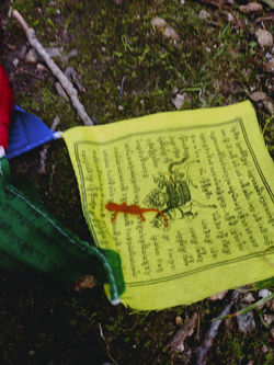 IMG_20230723_195848934_HDR